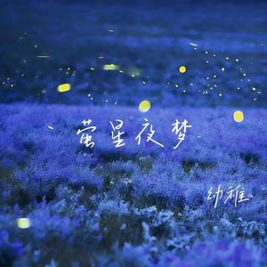萤星夜梦
