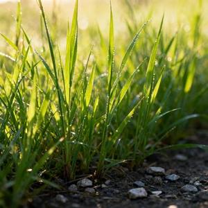 落空 (小怡喵喵 Remix)