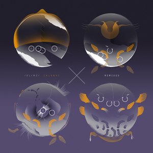 Divide & Conquer (Electric Indigo Remix)