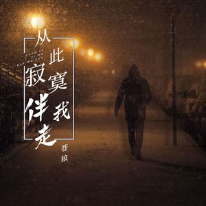 从此寂寞伴我走 (伴奏)