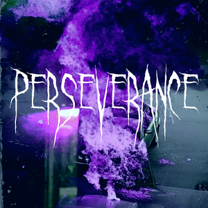 Perseverance