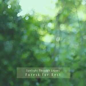 Sunlight Through Leaves (Alpha Sinus 62Hz - 68Hz)