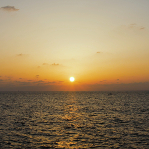 אוהב את השמש