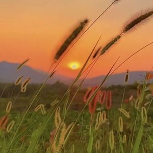 谁（Cover廖俊涛）