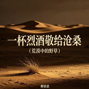 一杯烈酒敬给沧桑（荒漠中的野草）