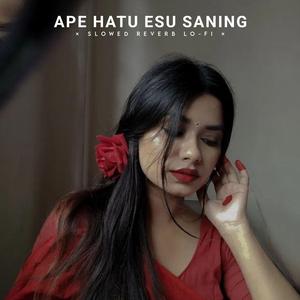 Sirme Rin Chandu (Slowed Reverb Lo-fi)