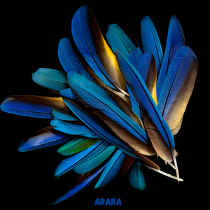 Arara (Remix)