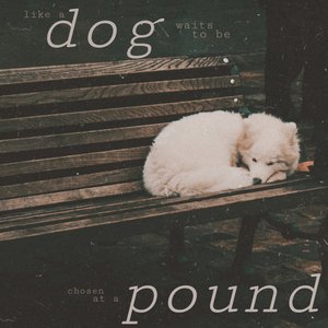 Dog Pound
