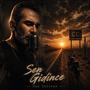 Sen Gidince
