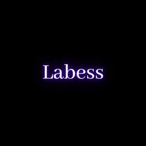 Labess (feat. El V le vrai & Mani Lobo Beats)