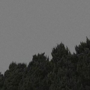 (FREE) Lil Baby X SASIOVERLXRD Type Beat "Timelss"