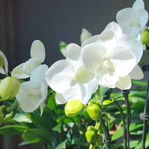 清晨阳光洒落的课桌时光