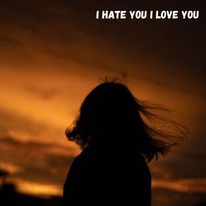 I Hate You I Love You