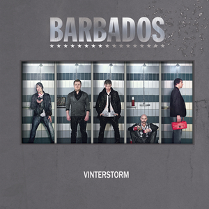 Vinterstorm