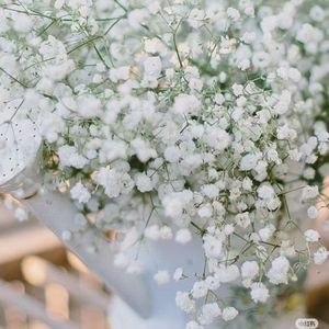 我们到过的地方