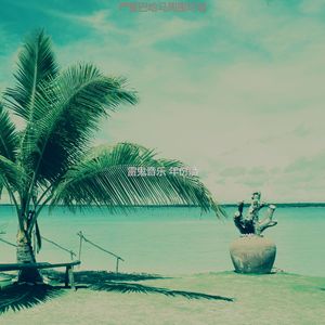 一尘不染开曼群岛印象数