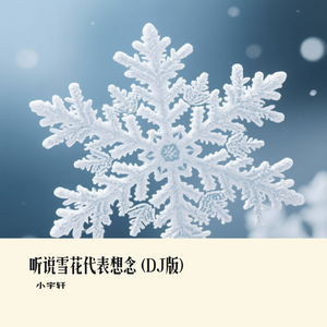 听说雪花代表想念 (DJ版)