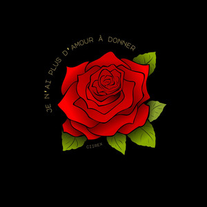 Je n'ai pas d'amour à donner