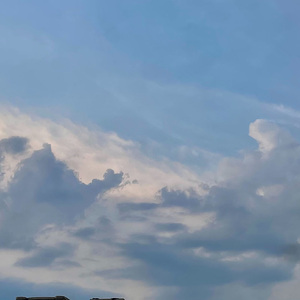 有关一个戛然而止的夏天