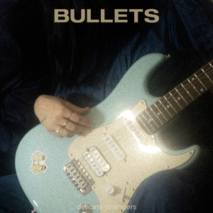 Bullets