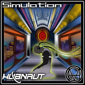 Simulation