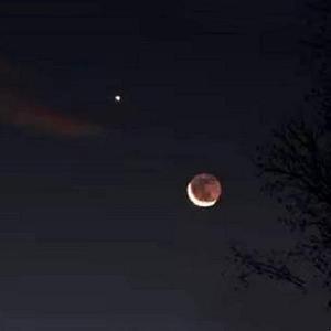 Venus（启明星）