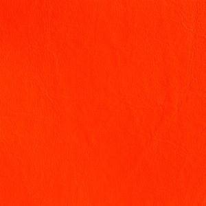 The Alternate Agenda