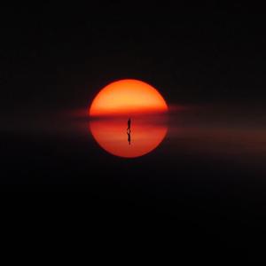 Midnight Sun