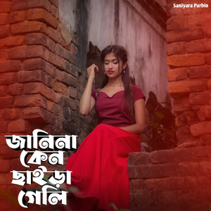 জানিনা কেন ছাইড়া গেলি