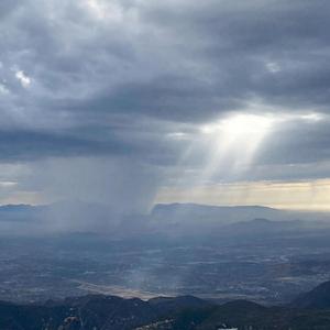 Chamomile (feat. Capital)