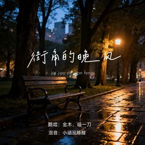 街角的晚风（抖音版）