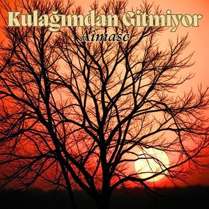 Kulağımdan Gitmiyor