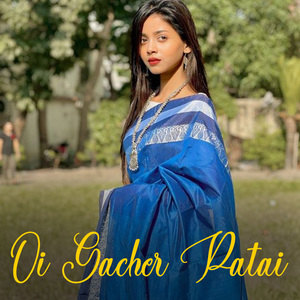 Oi Gacher Patai