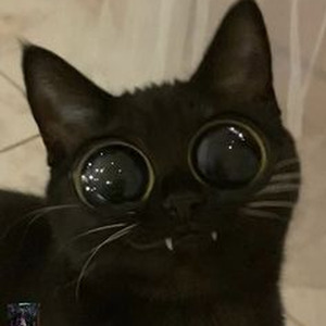 Pretty Girl Rock (sped up)