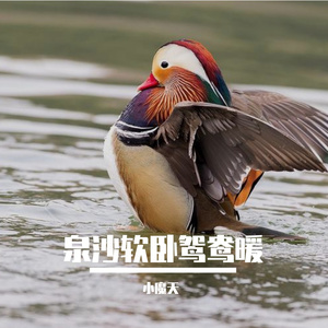 泉沙软卧鸳鸯暖31