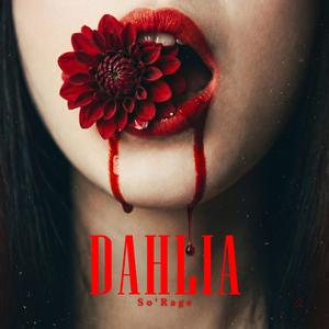 Dahlia