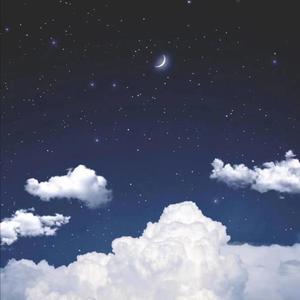 白月光与朱砂痣.wav