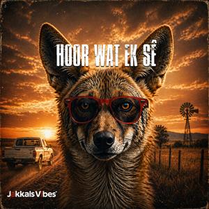 Hoor wat ek sê