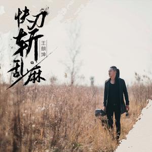 快刀斩乱麻 (DJ版)