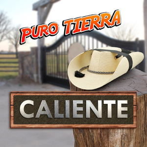 Vamos al Hipodromo