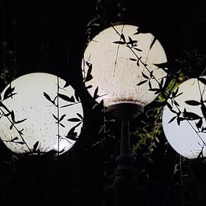 你是人间四月天