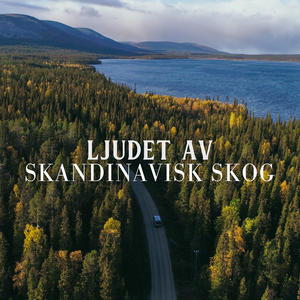 Lugnande väckarklocka