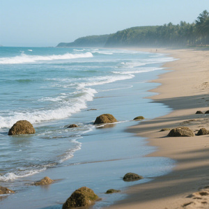 白鸽乌鸦爱过一场