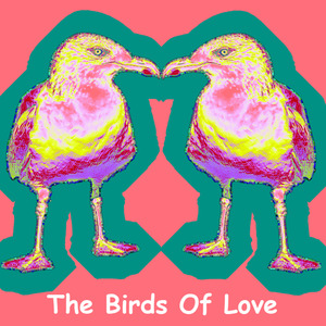 The Birds Of Love