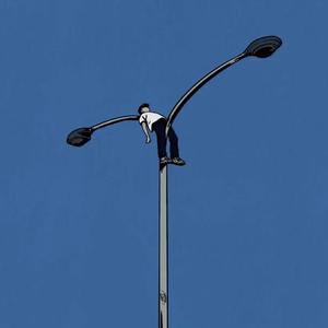 起风了 (钢琴弹奏版)