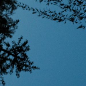 等一分钟 Wait One Minute