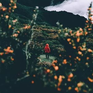 原谅我不再送花