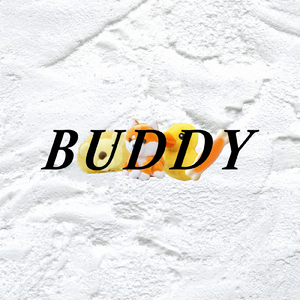 BUDDY
