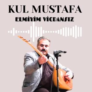 ELMİYİM VİCDANSIZ