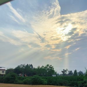 世界相反的光辉